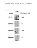 Generation of Induced Pluripotent Stem Cells from Cord Blood diagram and image