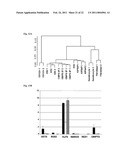 Generation of Induced Pluripotent Stem Cells from Cord Blood diagram and image