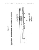ANTIBODIES DIRECTED AGAINST AMYLOID-BETA PEPTIDE AND METHODS USING SAME diagram and image
