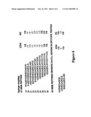ANTIBODIES DIRECTED AGAINST AMYLOID-BETA PEPTIDE AND METHODS USING SAME diagram and image