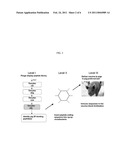 Zona Pellucida Binding Peptides, Expression Vectors, Compositions, and Methods for Species Specific Immunocontraception of Animals diagram and image