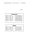 Zona Pellucida Binding Peptides, Expression Vectors, Compositions, and Methods for Species Specific Immunocontraception of Animals diagram and image