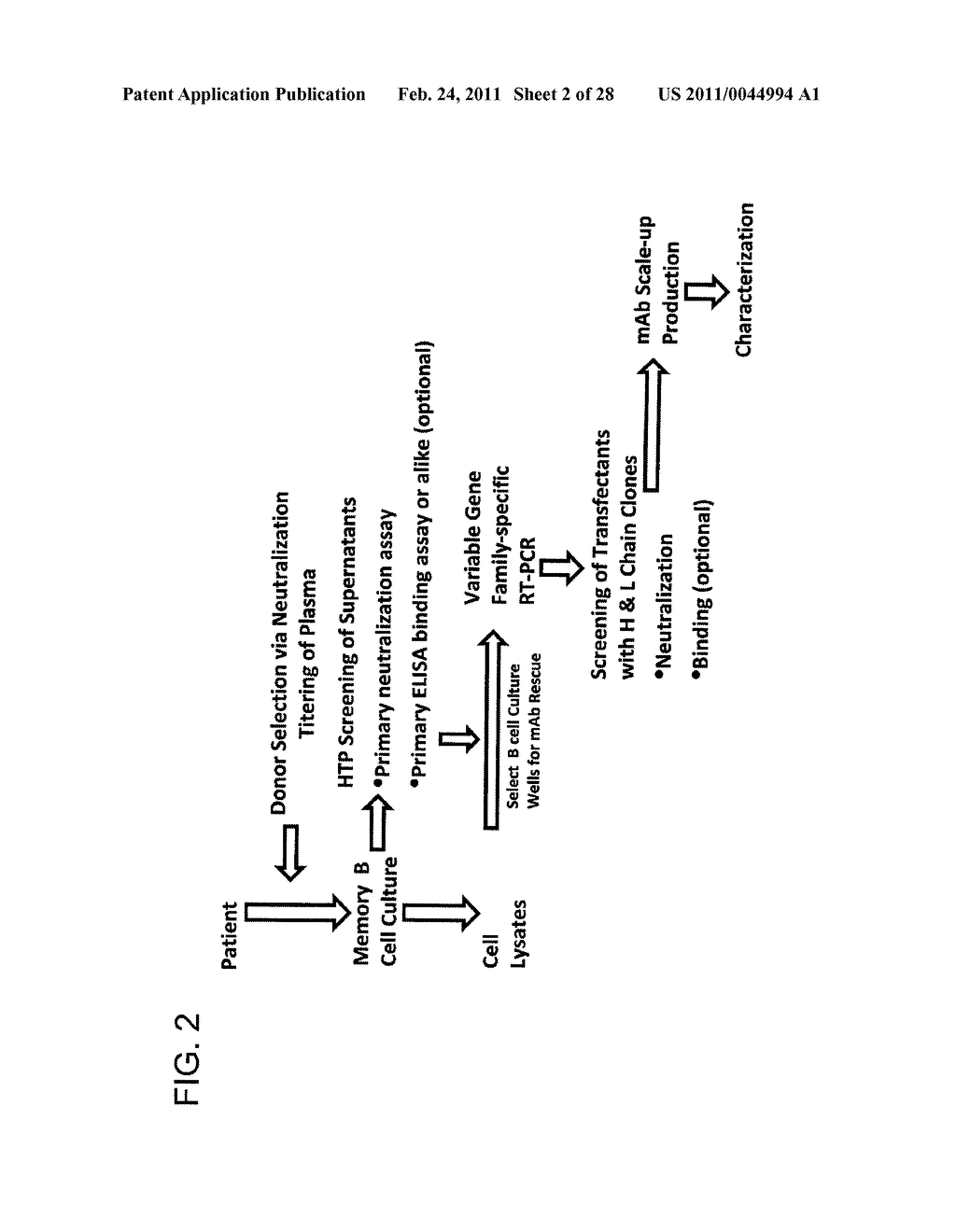 HUMAN IMMUNODEFICIENCY VIRUS (HIV)-NEUTRALIZING ANTIBODIES - diagram, schematic, and image 03