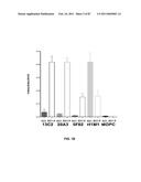 CADHERIN-11 ANTAGONISTS AND METHODS FOR THE TREATMENT OF INFLAMMATORY JOINT DISORDERS diagram and image