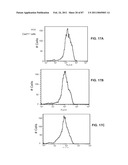 CADHERIN-11 ANTAGONISTS AND METHODS FOR THE TREATMENT OF INFLAMMATORY JOINT DISORDERS diagram and image