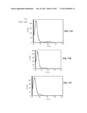 CADHERIN-11 ANTAGONISTS AND METHODS FOR THE TREATMENT OF INFLAMMATORY JOINT DISORDERS diagram and image