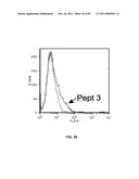 CADHERIN-11 ANTAGONISTS AND METHODS FOR THE TREATMENT OF INFLAMMATORY JOINT DISORDERS diagram and image