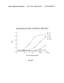 CADHERIN-11 ANTAGONISTS AND METHODS FOR THE TREATMENT OF INFLAMMATORY JOINT DISORDERS diagram and image