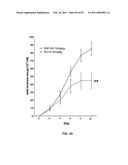 CADHERIN-11 ANTAGONISTS AND METHODS FOR THE TREATMENT OF INFLAMMATORY JOINT DISORDERS diagram and image