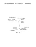 PORCINE TORQUE TENO VIRUS VACCINES AND DIAGNOSIS diagram and image