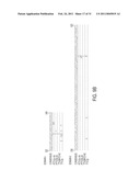 PORCINE TORQUE TENO VIRUS VACCINES AND DIAGNOSIS diagram and image