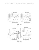 PORCINE TORQUE TENO VIRUS VACCINES AND DIAGNOSIS diagram and image