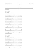 PORCINE TORQUE TENO VIRUS VACCINES AND DIAGNOSIS diagram and image