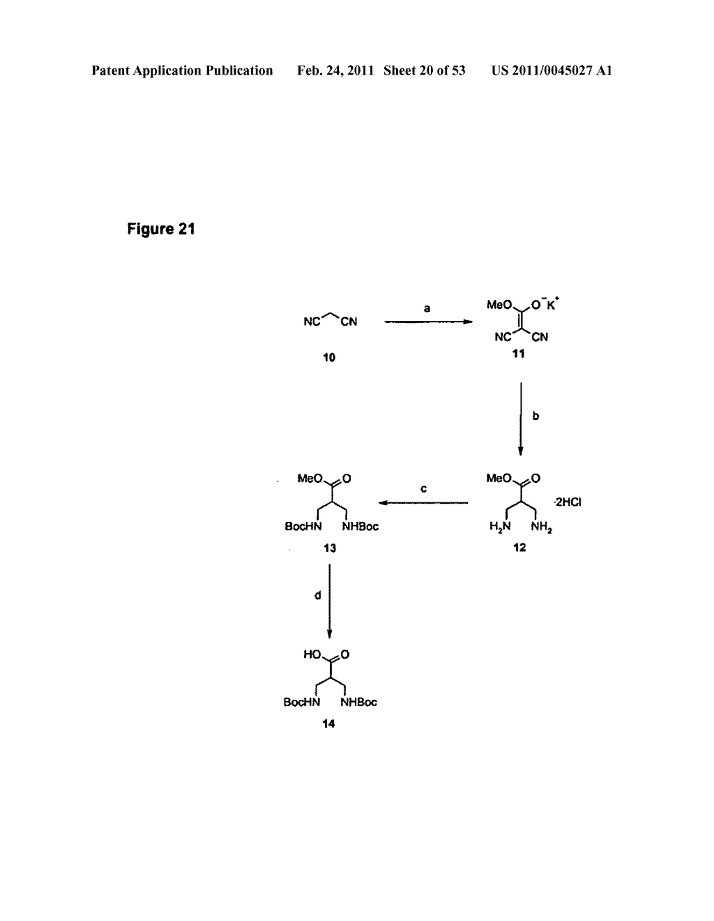 Adjuvant - diagram, schematic, and image 21