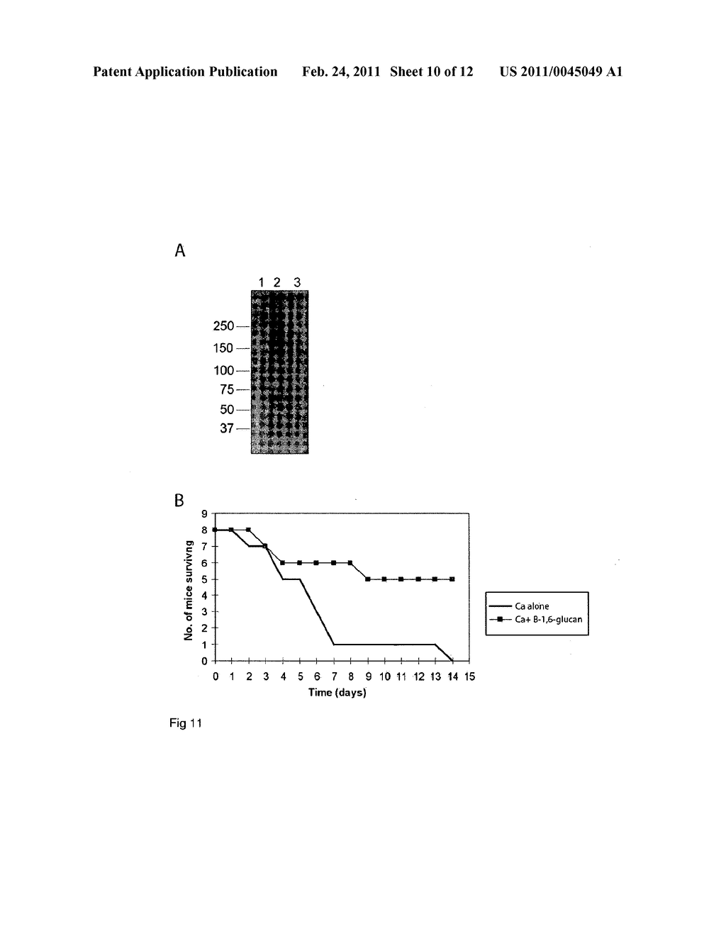 IMMUNOMODULATING COMPOSITIONS AND METHODS OF USE - diagram, schematic, and image 11