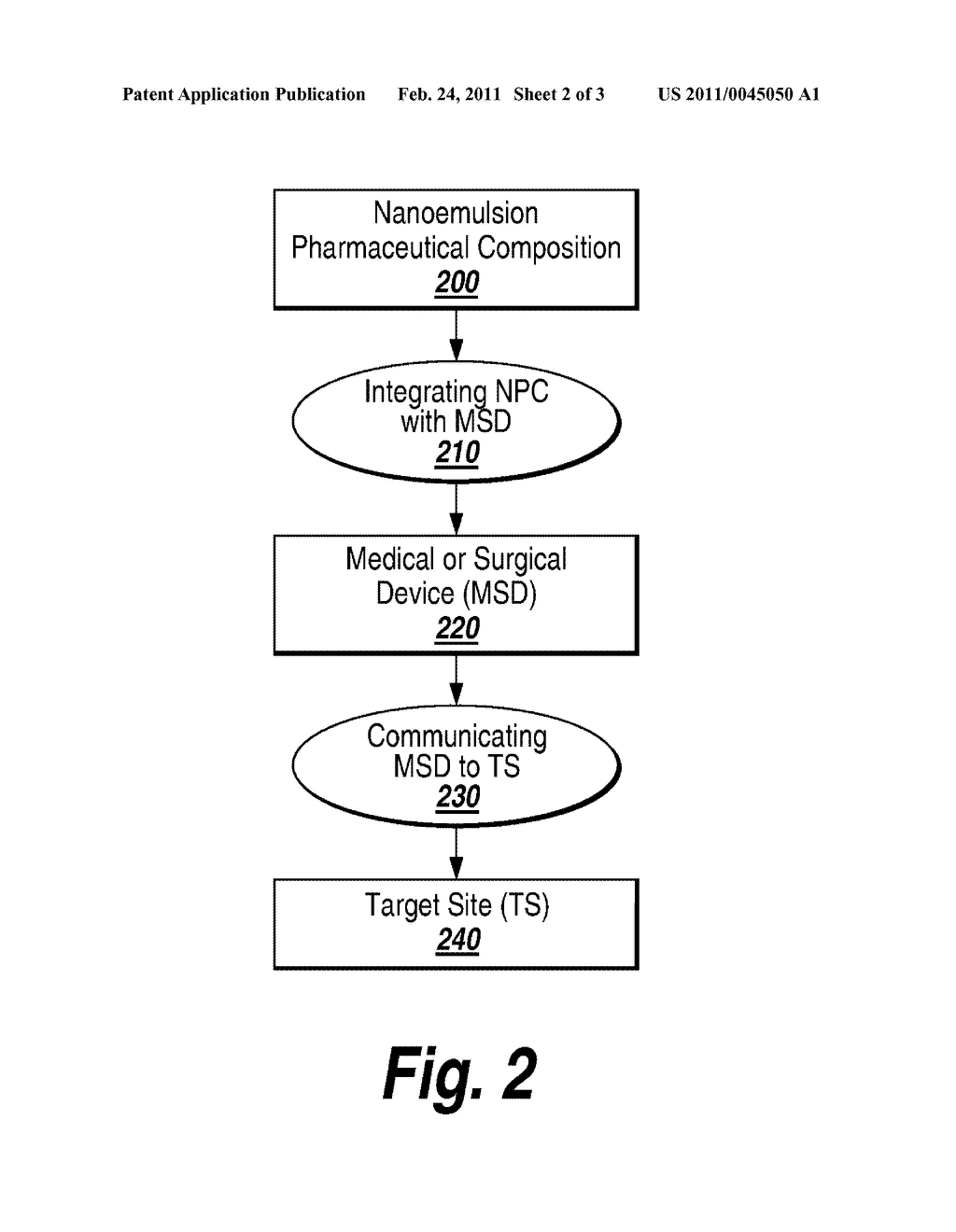 NANOEMULSION FORMULATIONS FOR DIRECT DELIVERY - diagram, schematic, and image 03