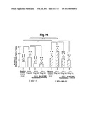 KIT FOR DETECTING CANCER CELLS METASTASIZING INTO SENTINEL LYMPH NODE diagram and image