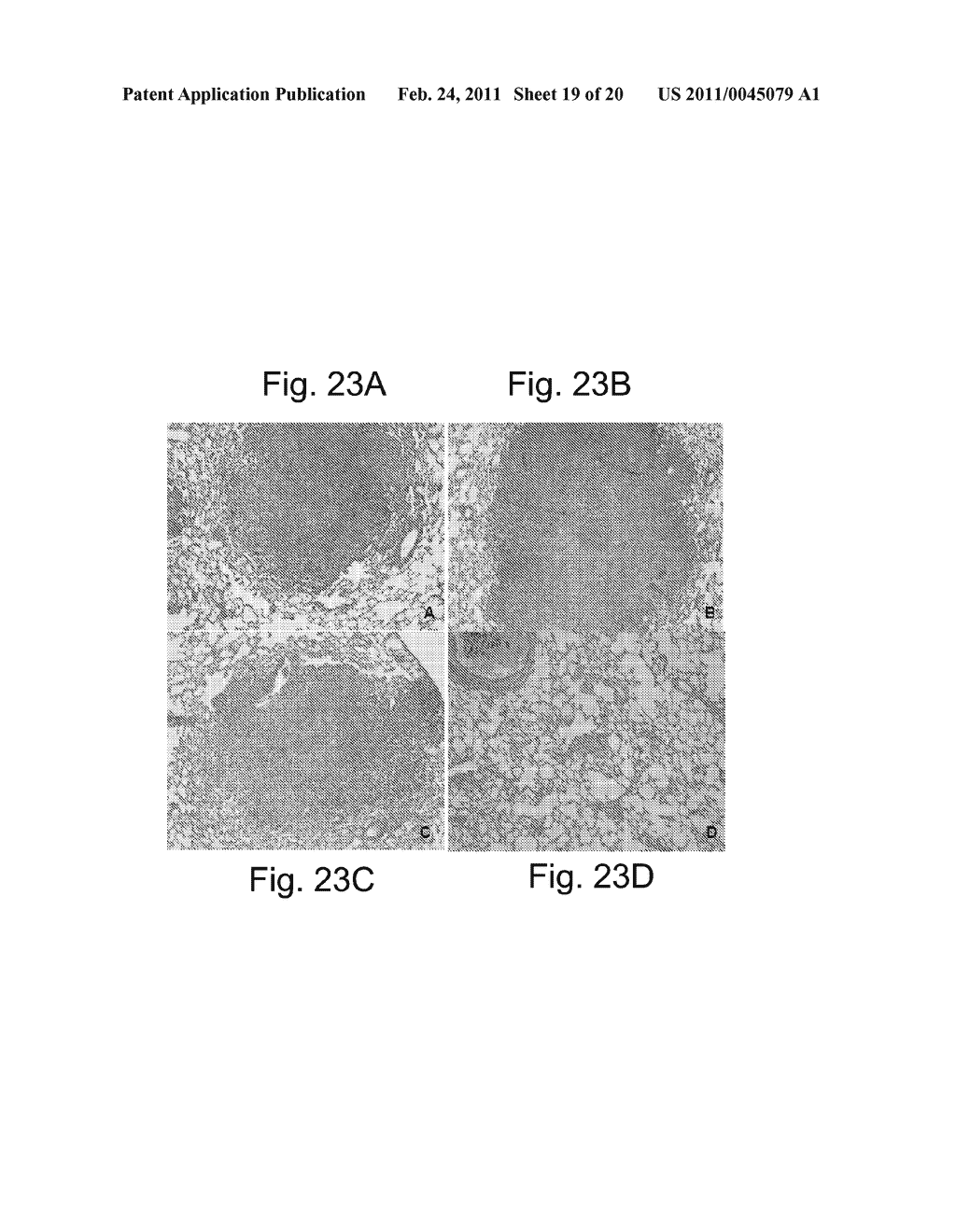 DRY POWDERS OF CELLULAR MATERIAL - diagram, schematic, and image 20