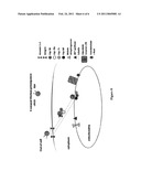 MAGNETIC, PARAMAGNETIC AND/OR SUPERPARAMAGNETIC NANOPARTICLES diagram and image