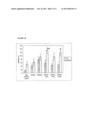 NOVEL NUTRACEUTICAL COMPOSITIONS CONTAINING WHOLE-FRUIT ZANTHOXYLUM BUNGEANUM EXTRACT FOR COGNITION diagram and image