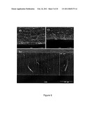 METHODS FOR GROWING AND HARVESTING CARBON NANOTUBES diagram and image