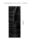 METHODS FOR GROWING AND HARVESTING CARBON NANOTUBES diagram and image