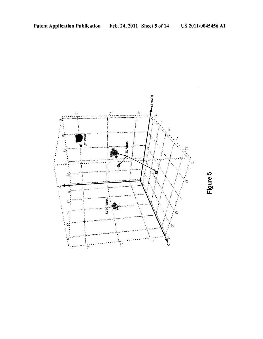 COMPOSITIONS FOR USE IN IDENTIFICATION OF ADVENTITIOUS CONTAMINANT VIRUSES - diagram, schematic, and image 06