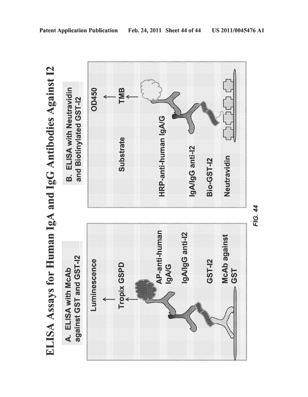 INFLAMMATORY BOWEL DISEASE PROGNOSTICS - diagram, schematic, and image 45