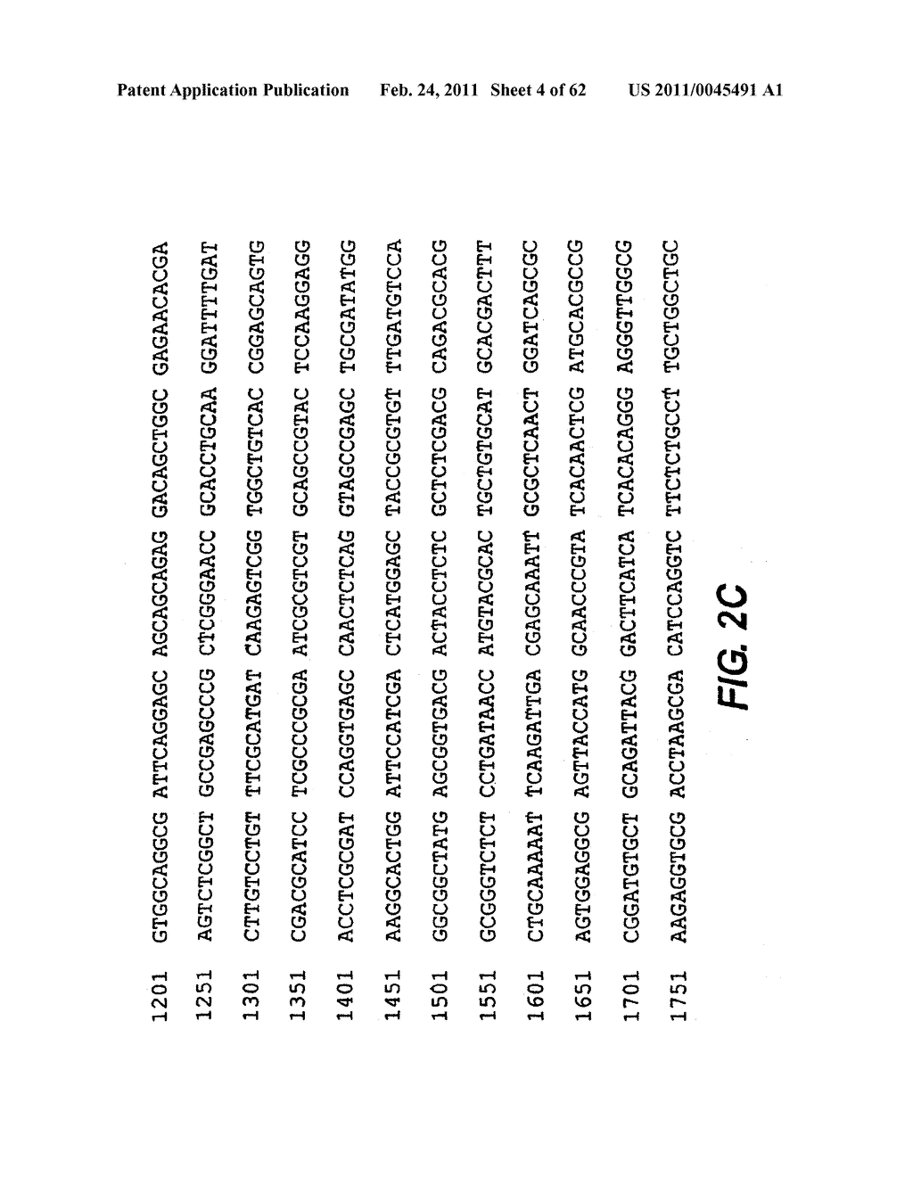 CYCLIC NUCLEOTIDE-SPECIFIC PHOSPHODIESTERASES FROM LEISHMANIA AND USES THEREOF - diagram, schematic, and image 05