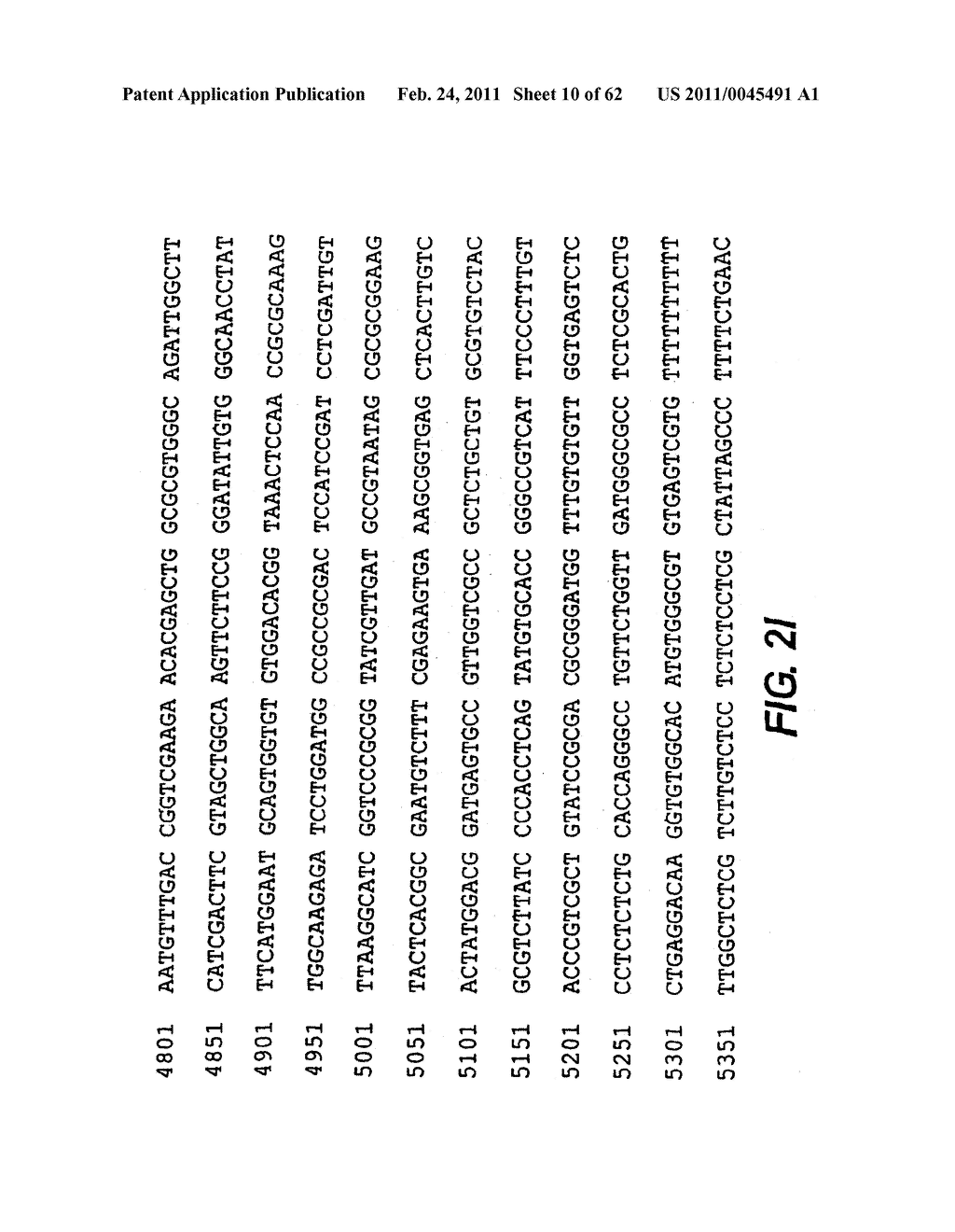 CYCLIC NUCLEOTIDE-SPECIFIC PHOSPHODIESTERASES FROM LEISHMANIA AND USES THEREOF - diagram, schematic, and image 11