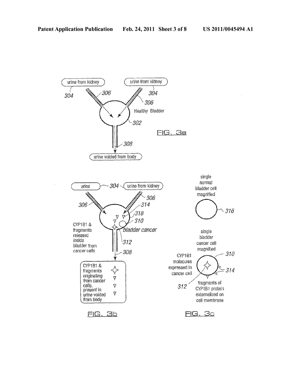 CANCER DETECTION METHODS AND TECHNIQUES - diagram, schematic, and image 04