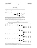 NOVEL ACIDIC GLYCAN MARKERS OF HUMAN CELLS diagram and image