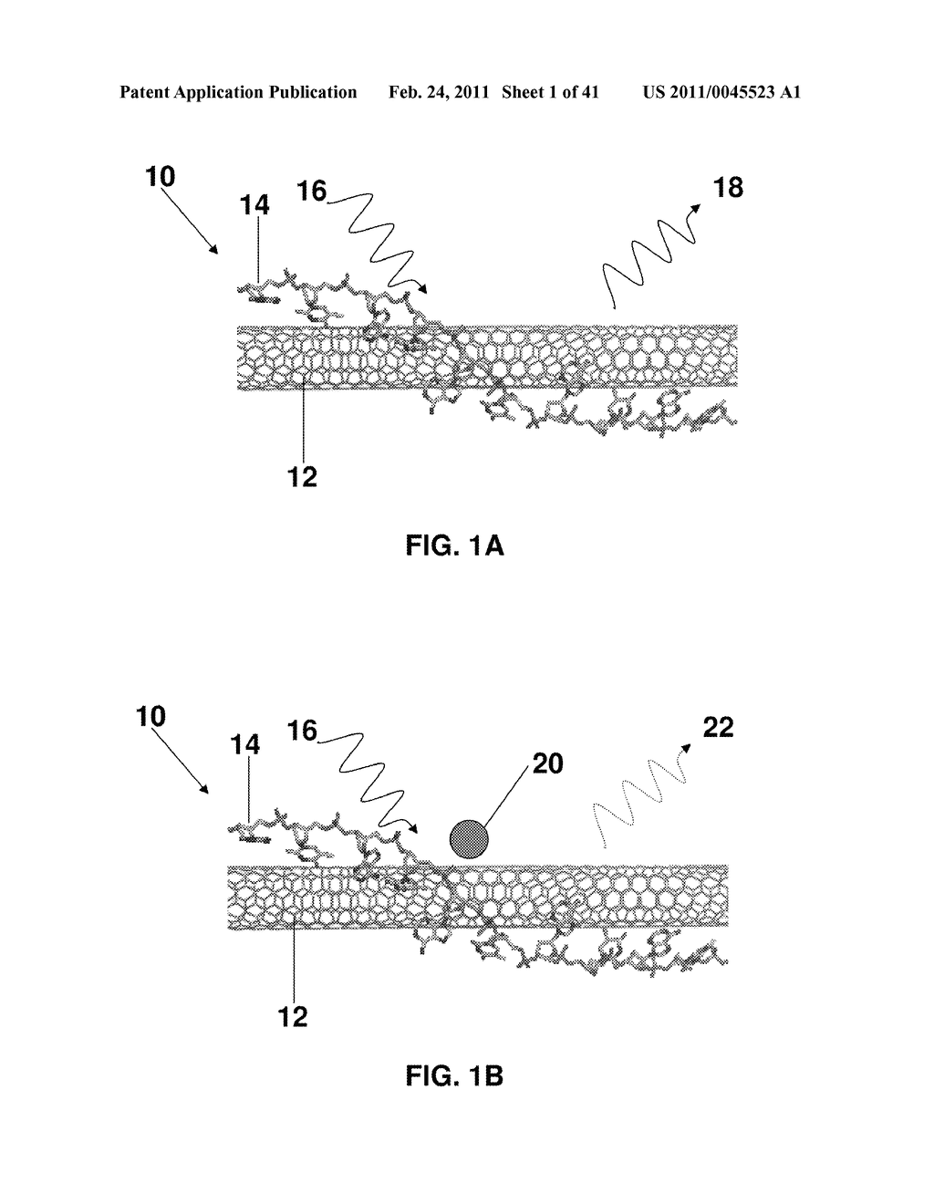 Optical Nanosensors Comprising Photoluminescent Nanostructures - diagram, schematic, and image 02