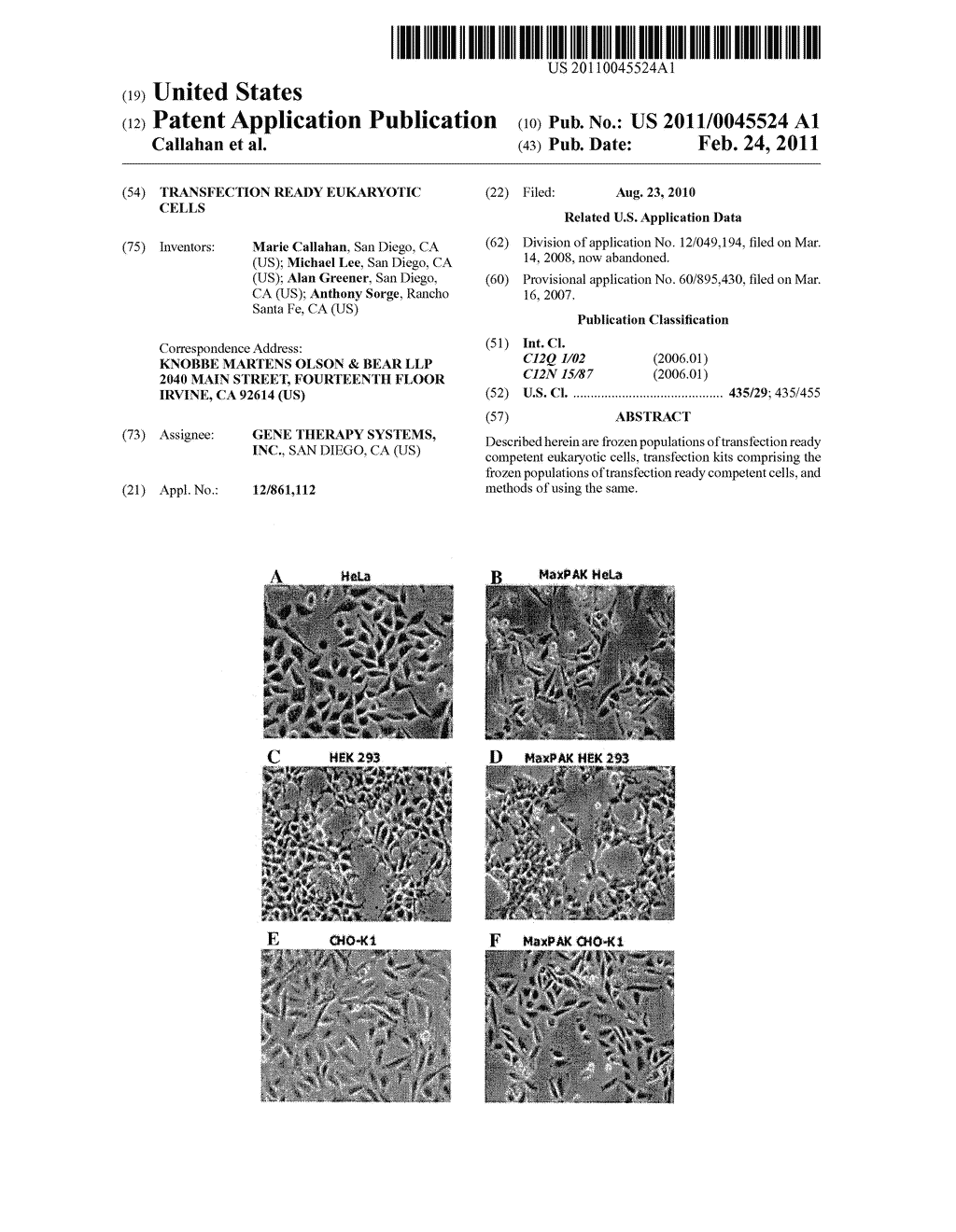 TRANSFECTION READY EUKARYOTIC CELLS - diagram, schematic, and image 01