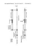 METHOD FOR PRODUCING A RECOMBINANT PROTEIN ON A MANUFACTURING SCALE diagram and image