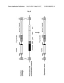 METHOD FOR PRODUCING A RECOMBINANT PROTEIN ON A MANUFACTURING SCALE diagram and image