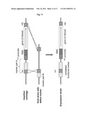 METHOD FOR PRODUCING A RECOMBINANT PROTEIN ON A MANUFACTURING SCALE diagram and image