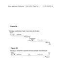 Nucleic Acid Cassette For Producing Recombinant Antibodies diagram and image