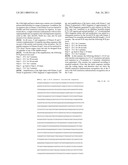 Nucleic Acid Cassette For Producing Recombinant Antibodies diagram and image