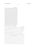 Nucleic Acid Cassette For Producing Recombinant Antibodies diagram and image