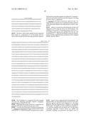 Nucleic Acid Cassette For Producing Recombinant Antibodies diagram and image