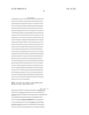 Nucleic Acid Cassette For Producing Recombinant Antibodies diagram and image