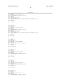 Nucleic Acid Cassette For Producing Recombinant Antibodies diagram and image