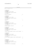 Nucleic Acid Cassette For Producing Recombinant Antibodies diagram and image