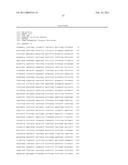 Nucleic Acid Cassette For Producing Recombinant Antibodies diagram and image