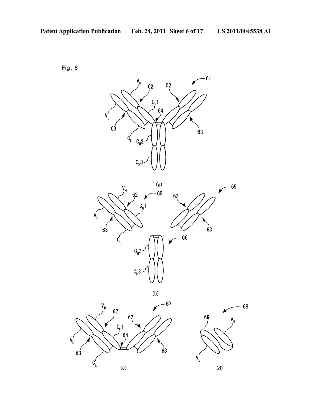 Peptide, Use Of The Peptide, Method For The Production Of The Peptide, Solid Support Having The Peptide Immobilized Thereon, And Method For Production Of The Solid Support - diagram, schematic, and image 07