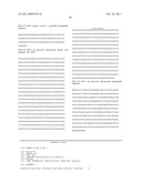 HETEROLOGOUS EXPRESSION OF EXTREMOPHILE HEAT SHOCK PROTEINS AND CHAPERONES IN MICROORGANISMS TO INCREASE TOLERANCE TO TOXIC COMPOUNDS diagram and image