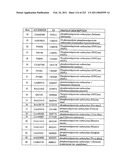 MALIC ACID PRODUCTION IN RECOMBINANT YEAST diagram and image