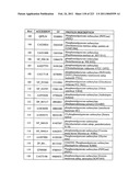 MALIC ACID PRODUCTION IN RECOMBINANT YEAST diagram and image