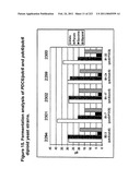 MALIC ACID PRODUCTION IN RECOMBINANT YEAST diagram and image